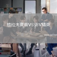 格拉夫夏普VSSBV精英