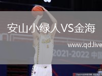 安山小绿人VS金海