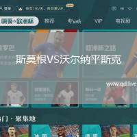 斯莫根VS沃尔纳平斯克