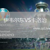 伊韦尔东VS卡洛治