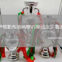 萨格勒布迪纳摩VS斯拉文贝鲁波