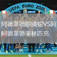 阿德莱德眼镜蛇VS阿德莱德奥林匹克