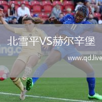 北雪平VS赫尔辛堡