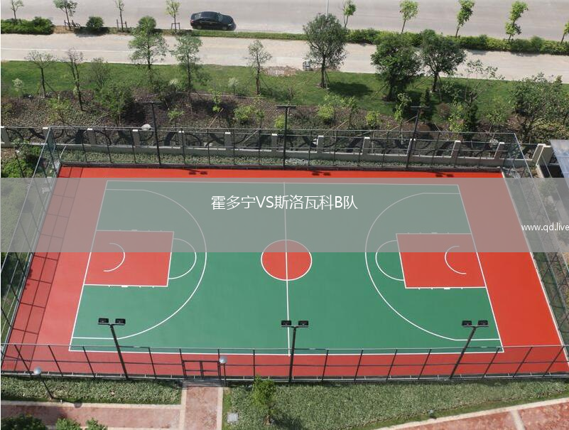 霍多宁VS斯洛瓦科B队