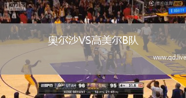 奥尔沙VS高美尔B队