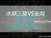 水原三星VS金海