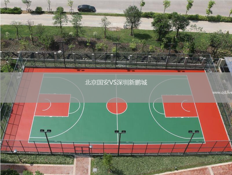 北京国安VS深圳新鹏城