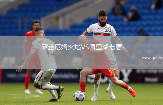 罗金厄姆火焰VS佩里湖老鹰