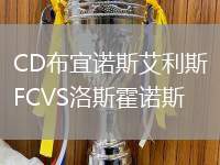 CD布宜诺斯艾利斯FCVS洛斯霍诺斯