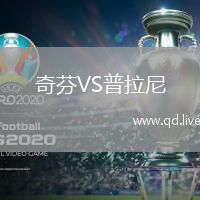 奇芬VS普拉尼