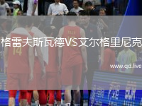 格雷夫斯瓦德VS艾尔格里尼克