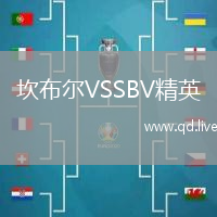 坎布尔VSSBV精英