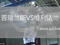 普瑞兰斯VS维利法兰