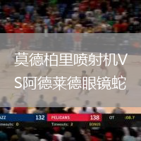 莫德柏里喷射机VS阿德莱德眼镜蛇