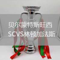 贝尔蒙特斯旺西SCVS林顿加法斯