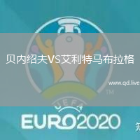 贝内绍夫VS艾利特马布拉格