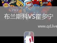 布兰斯科VS霍多宁