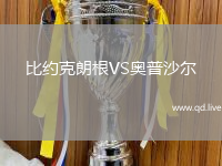 比约克朗根VS奥普沙尔