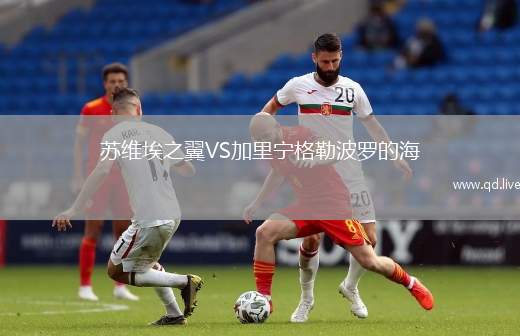 苏维埃之翼VS加里宁格勒波罗的海