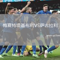 梅夏特堤基布利VS萨古拉利