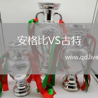 安格比VS古特