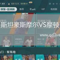 斯坦豪斯摩尔VS摩顿