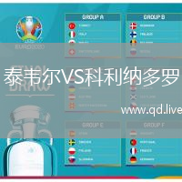 泰韦尔VS科利纳多罗