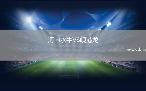 河内水牛VS岘港龙
