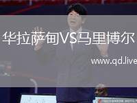 华拉萨甸VS马里博尔