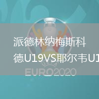 派德林纳梅斯科德U19VS耶尔韦U19