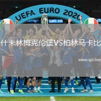 什未林梅克伦堡VS柏林马卡比