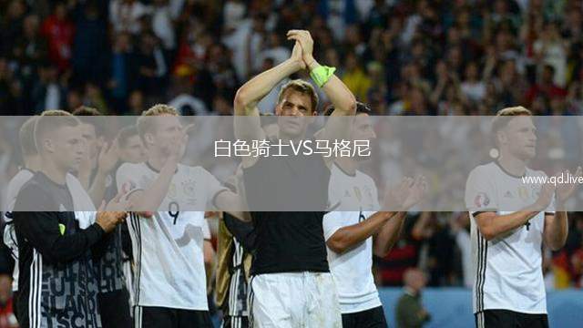 白色骑士VS马格尼