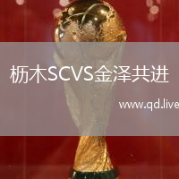 枥木SCVS金泽共进