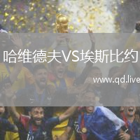 哈维德夫VS埃斯比约