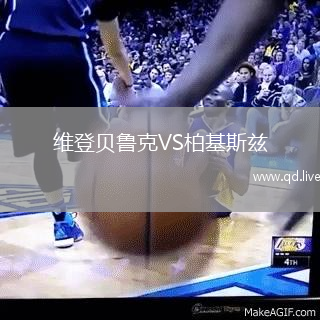 维登贝鲁克VS柏基斯兹