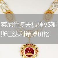 莱尼肯多夫狐狸VS斯巴达利希滕贝格