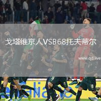 戈塔维京人VSB68托夫蒂尔