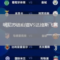 明尼苏达山猫VS达拉斯飞翼