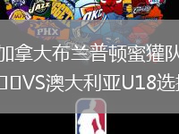 加拿大布兰普顿蜜獾队VS澳大利亚U18选拔队