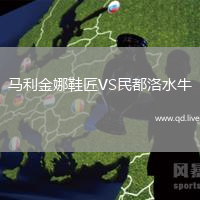 马利金娜鞋匠VS民都洛水牛