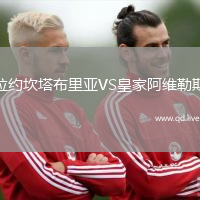 拉约坎塔布里亚VS皇家阿维勒斯