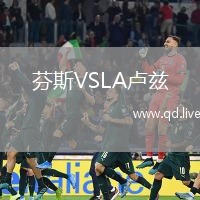 芬斯VSLA卢兹