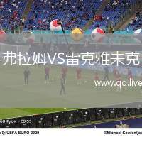 弗拉姆VS雷克雅未克