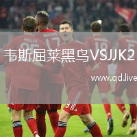 韦斯屈莱黑鸟VSJJK2