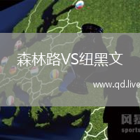 森林路VS纽黑文