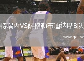 特瑞内VS萨格勒布迪纳摩B队