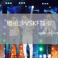 维祖沙VSKF基卡
