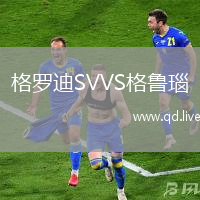 格罗迪SVVS格鲁瑙