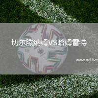 切尔滕纳姆VS哈姆雷特