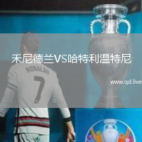 禾尼德兰VS哈特利温特尼